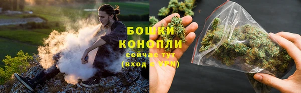 дурь Новодвинск