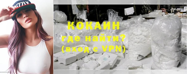 дурь Новодвинск