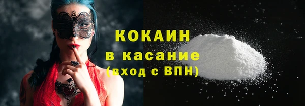 дурь Новодвинск