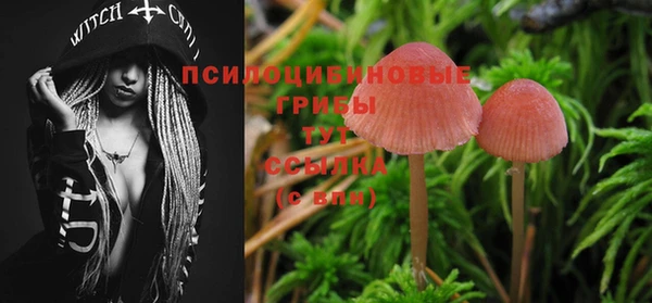кристаллы Новокубанск