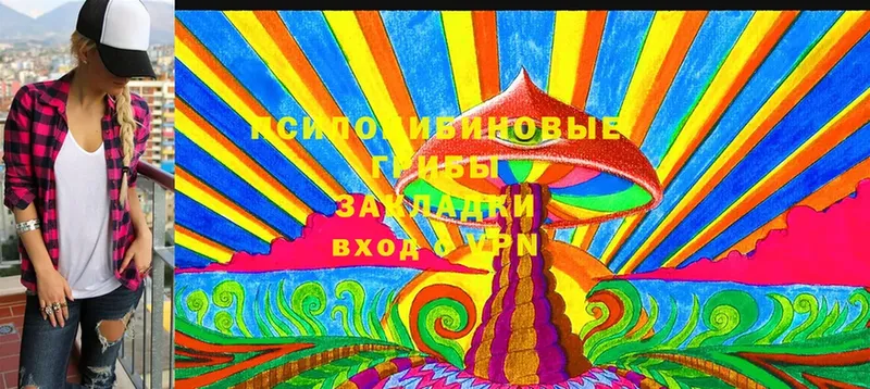 hydra ссылка  Малая Вишера  Галлюциногенные грибы Psilocybine cubensis 